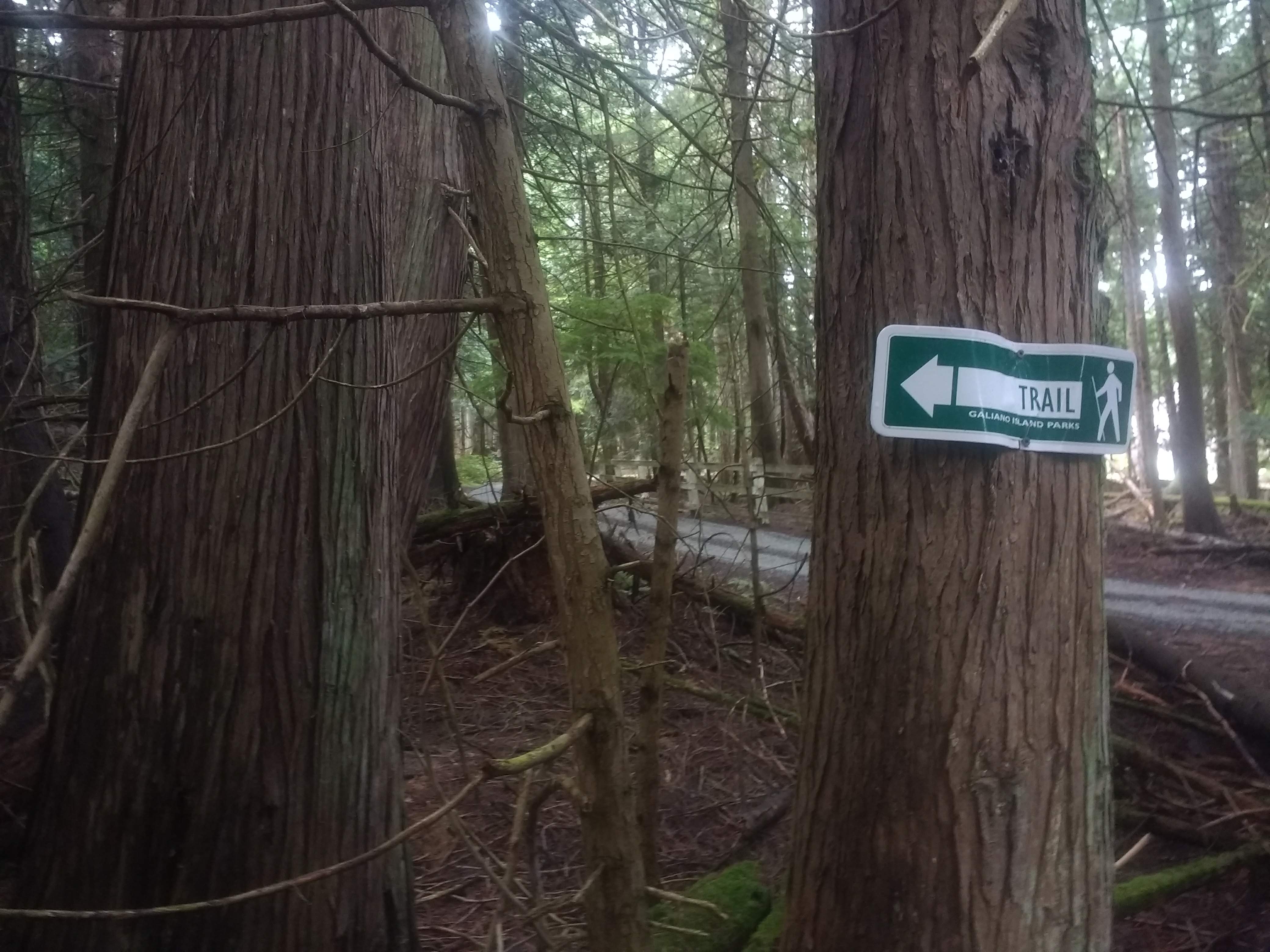 Trail Sign Cedars